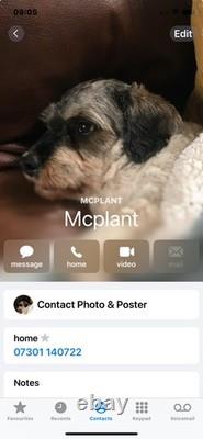 Jcb 520-40 Telehandler-Loadall 4 M 2.4 Ton Manitou Merlo Bobcat 2004 Road Reg