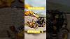 Jcb Telehandler Respray